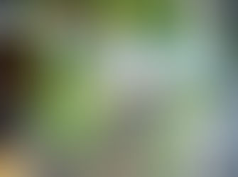 לוגו לעסק – טעויות נפוצות ואיך להימנע מהן כבר מהשלב הראשון