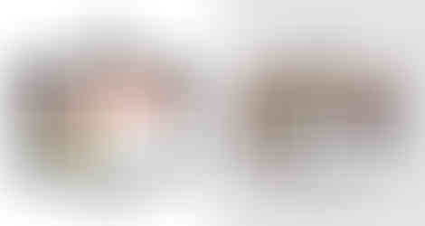 שדרוג אתר וויקס: