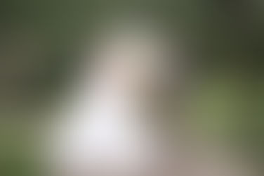 【婚禮攝影】早儀晚宴 婚攝推薦 ＠桃園大溪笠復威斯汀度假酒店