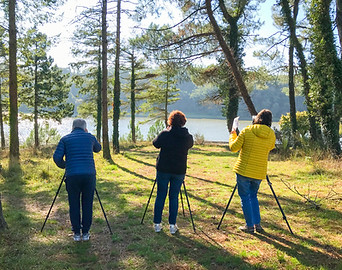 Trois photographes amateurs inscrits au stage photographient à l'aide de trépieds le lac du Jaunay visible à travers les arbres