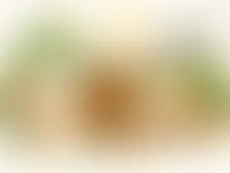 Kuscheltier Baby ohne Plastik kaufen