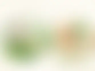 Warum Bio-Baumwolle für Babys sinnvoll ist