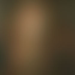 Oil Portraits of Imagination: Mona