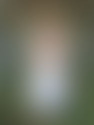 Little Girl Oil Portrait: Michelle with Lavender Rose