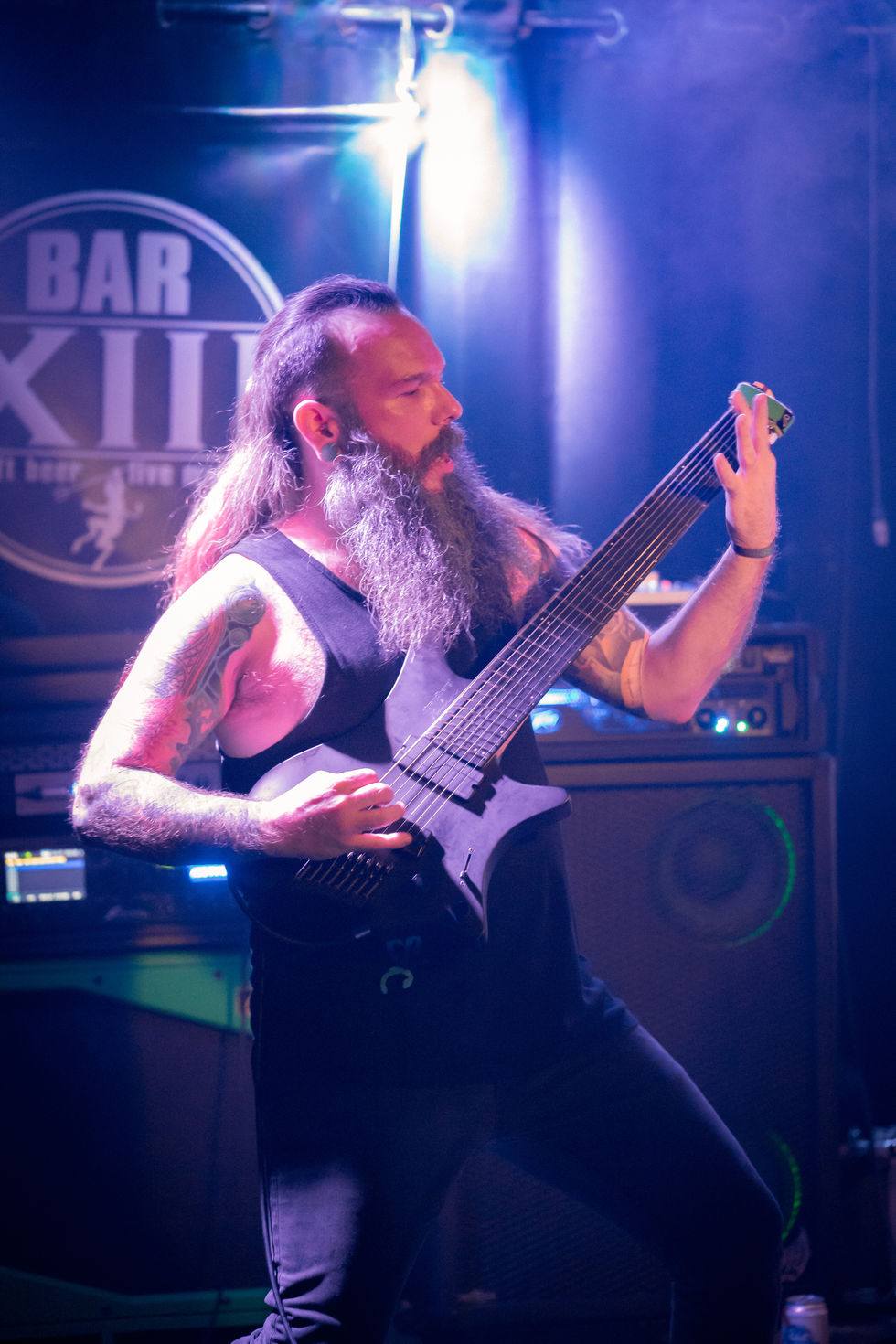 THE WORLD WITHOUT US