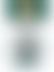 Lieutenant Governor Presents The 2018 Saskatchewan Volunteer Medals