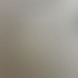 Redneck Riot Coyote Derby