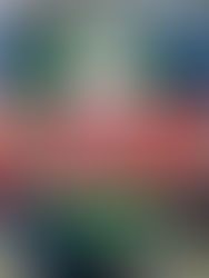 Wildlife Offences Result in $12,000 in Fines and Hunting Suspensions