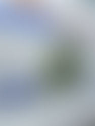 Grid road identifier signs stolen in RM of Mount Pleasant