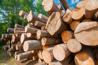 Government of Saskatchewan Welcomes Trade Decision on Softwood Lumber by USA