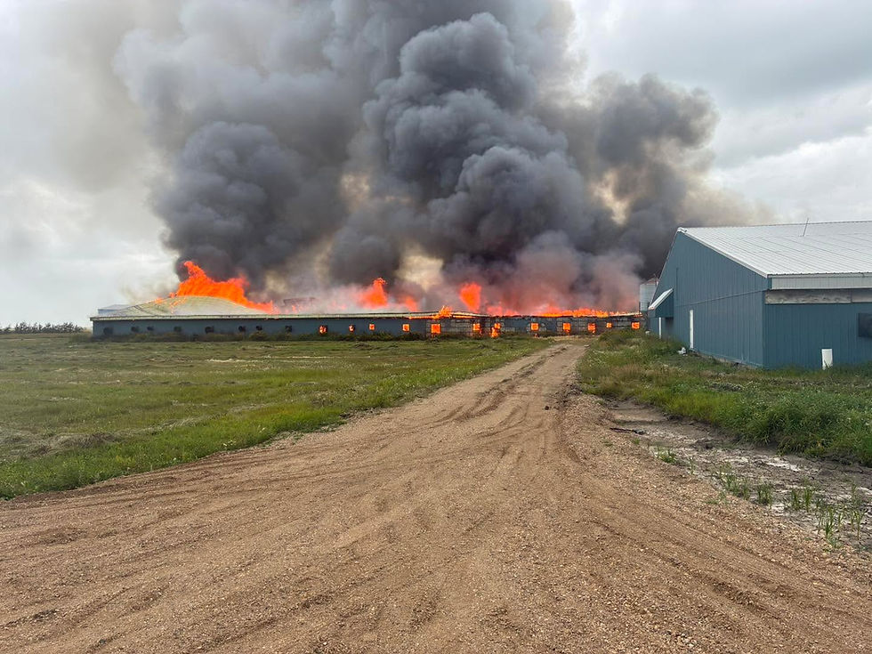 Hog Barn fire north of Star City brought under control by Melfort Fire Department