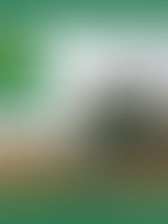 Saskatchewan Harvest is now 90% Complete