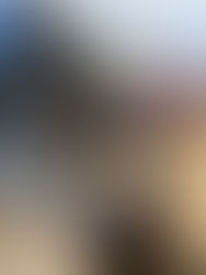 Weyburn Auto Wrecker victim of early morning break and enter