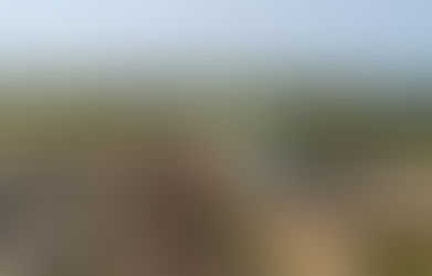 $8.1 Million Investment In Saskatchewan Livestock And Forage Research