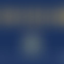 One Arrested Following Weapons Offence