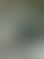 Three Males wanted for Maidstone Liquor store robbery