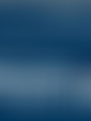 Investigation By The SPS Hate Crime Unit