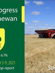 Saskatchewan Crop Report for August 12, 2021