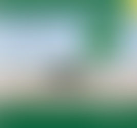 Crop Report for the Period May 15 to 21, 2018