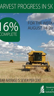 Sixteen per cent of the 2018 crop is now in the bin