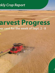 Crop Report for the Period September 2 to September 8, 2025