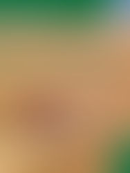 Crop Report for the Period September 2 to September 8, 2025