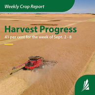 Crop Report for the Period September 2 to September 8, 2025