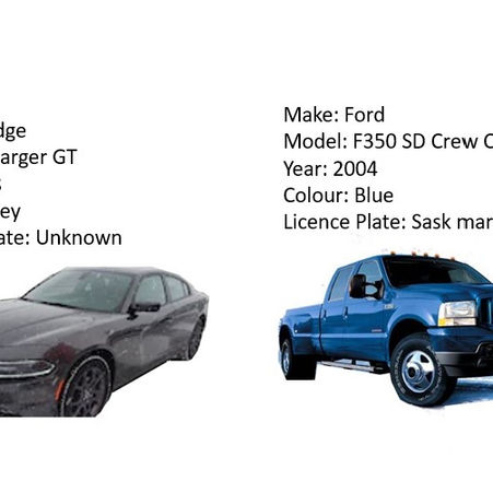 Two Vehicles stolen in the same night in the Parkland Area