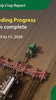 Crop Report for the Period May 5 to May 11, 2026