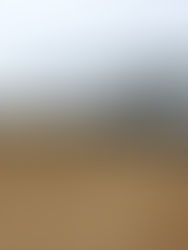 Mandatory Training Coming For Drivers Of Semis Used In Agriculture Operations