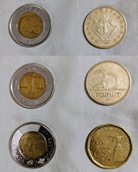 Forgeign coins being passed off as Canadian warns local businessman