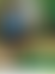 Shaw named Sask Sport August Athlete of the Month