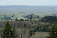 2026 Medicine Hat Massacre Race Registration Now Open