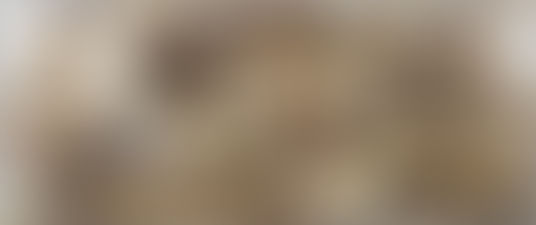 No Invasive "Zebra" Mussels Detected In Saskatchewan Waters In 2018