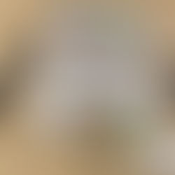 Saskatoon Police Drug Trafficking Investigation - Drugs, Weapons, Cash, Vehicle Seized