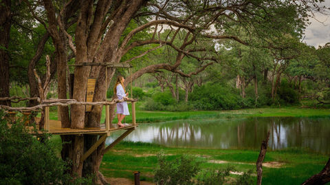 Camp Silwane Hwane National Park