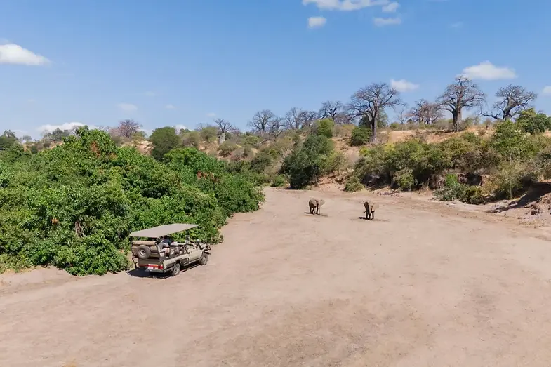 Game Drives.webp