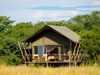 Muddy Teak Hwange National Park