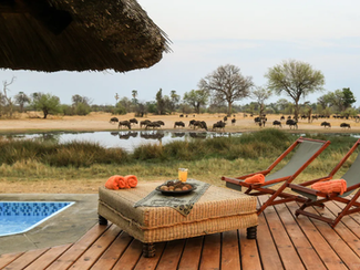 Bomani splash pool and animals in background