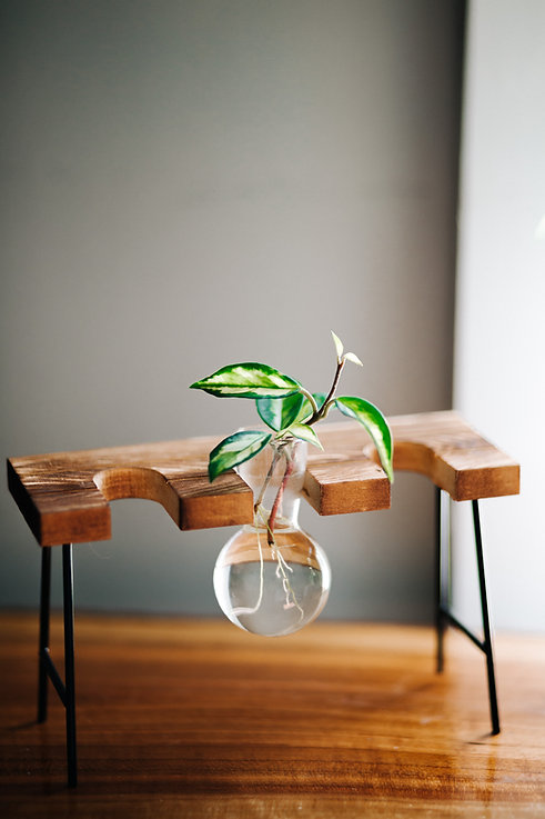 AdobeStock_398543564.jpeg