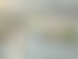 Art as Wealth Management Strategy