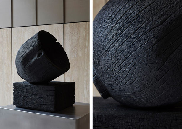 Commercial and Residential Design and Builds