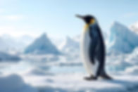 Ogilvie Fire Protection Antarctica Penguin