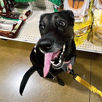 IMG_2211 2_edited.jpg