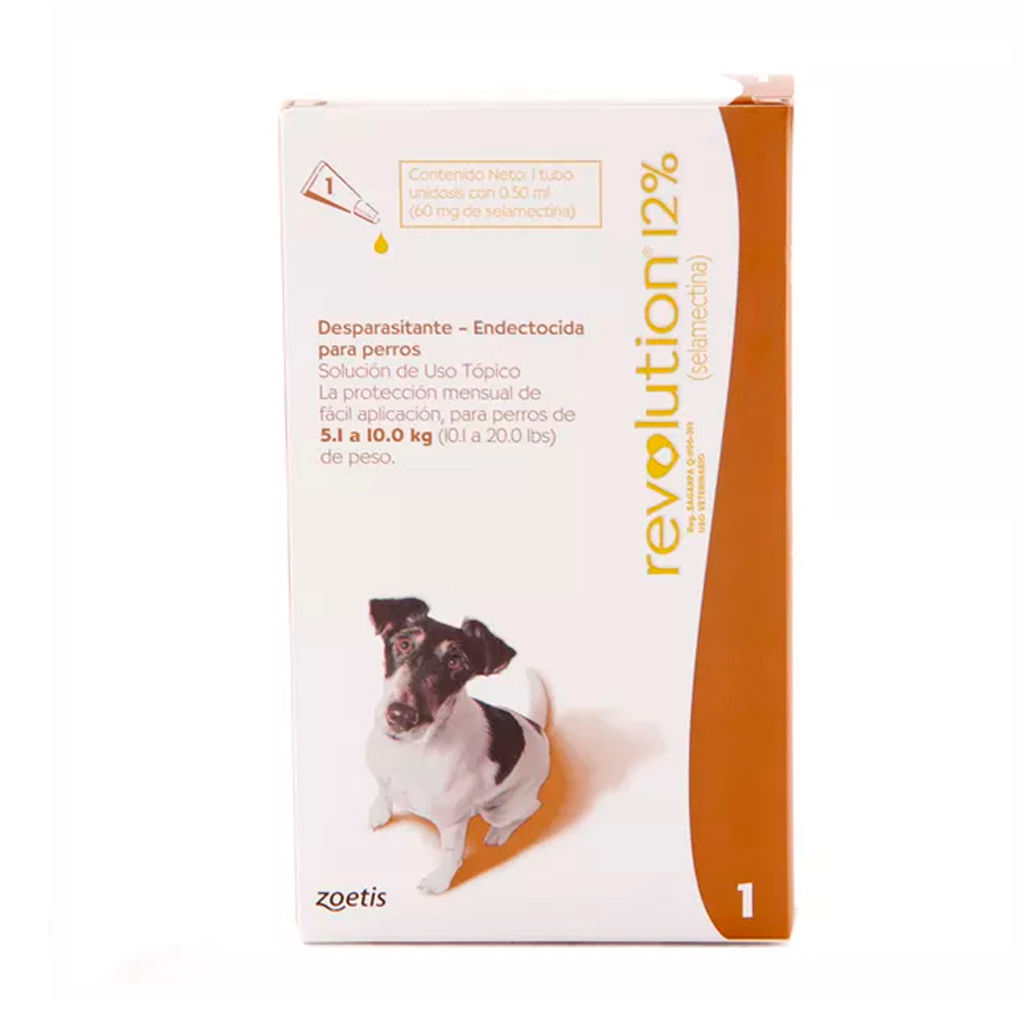 Pipeta Revolution Cafe