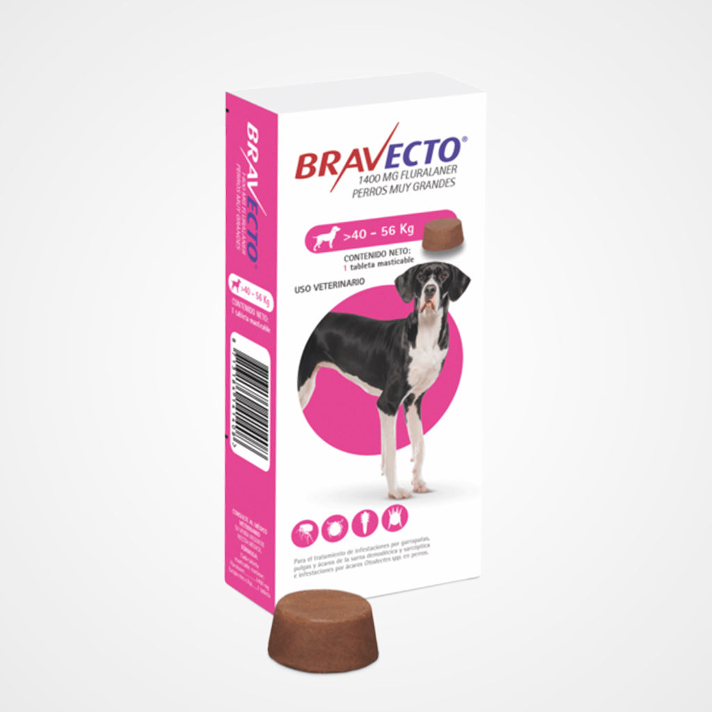 Bravecto 40 a 56kg (Pastilla anti-pulgas)