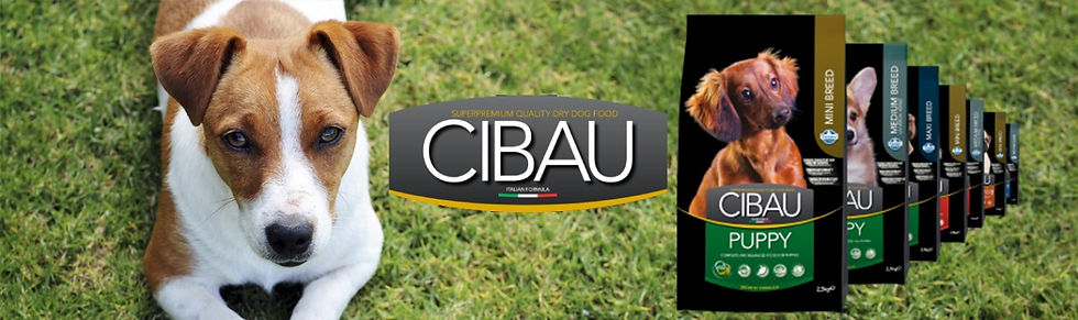 Banner Cibau.jpeg