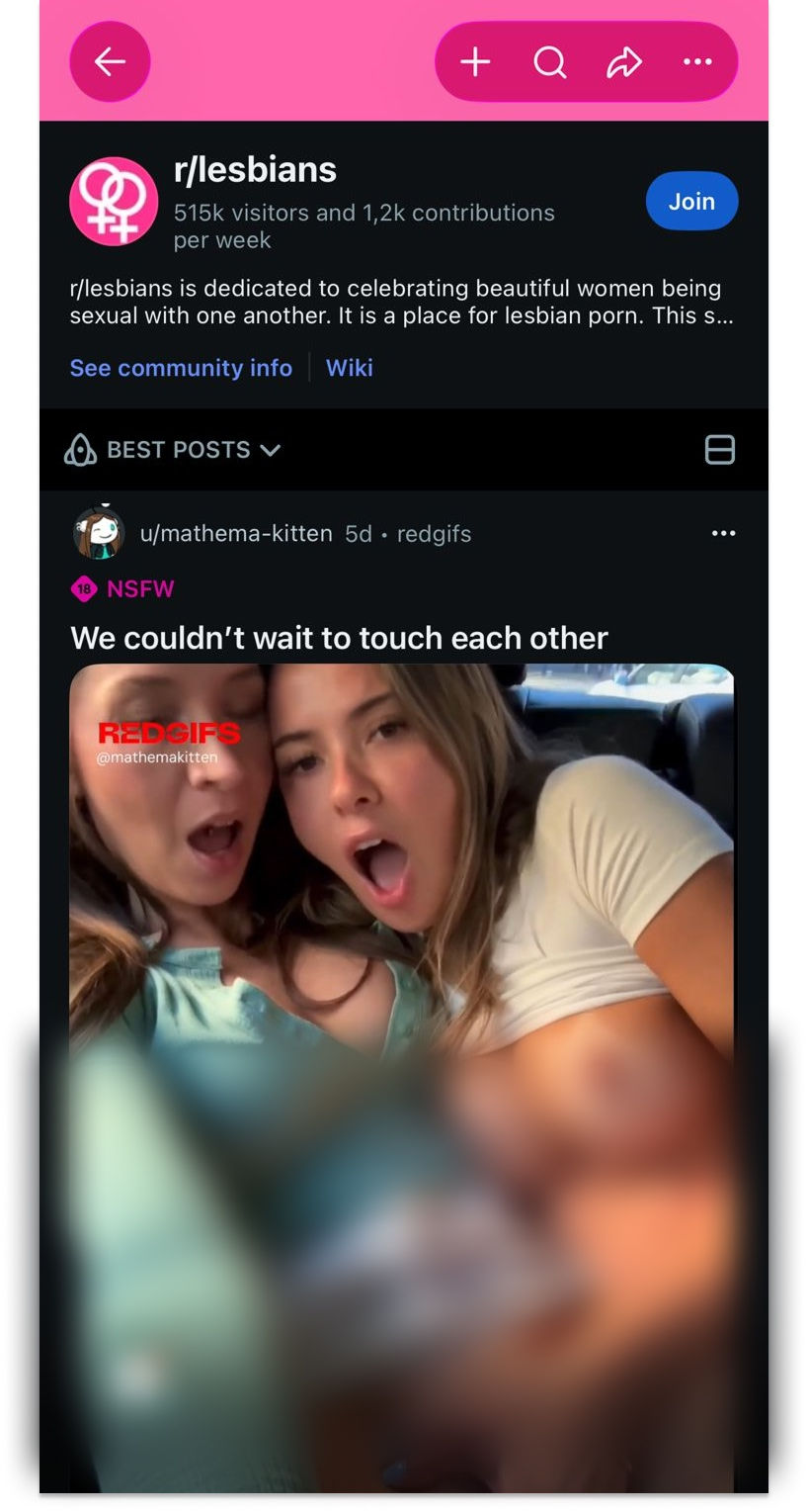 Mobile screenshot of the r/lesbians Reddit page, showing the subreddit title, best posts.