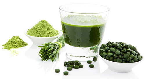 Chlorella