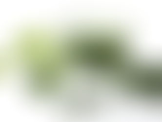 BenefÃcios da Chlorella
